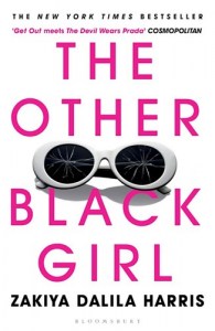 The Other Black Girl2